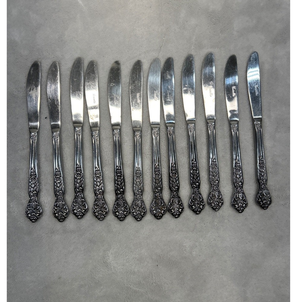 Versailles Dinner Knife Set 12 Stainless MSI Japan Vintage Flatware Replacement